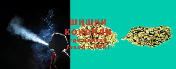 spice Куйбышев