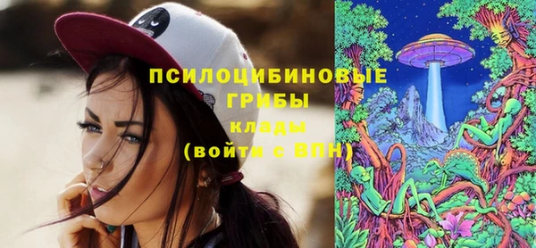 spice Куйбышев