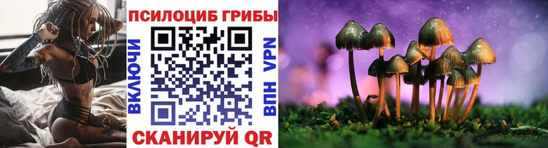 магазин  наркотиков  Лагань  Псилоцибиновые грибы Cubensis 