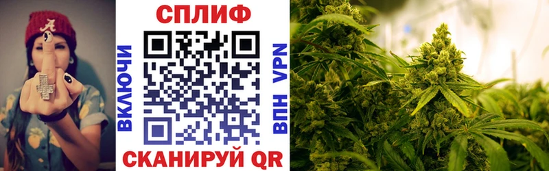 Бошки Шишки семена  маркетплейс формула  Лагань 